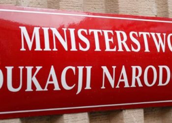 Wzór formularza sprawozdania z wysokości średnich wynagrodzeń nauczycieli na poszczególnych stopniach awansu zawodowego w szkołach prowadzonych przez JST za 2019 r.