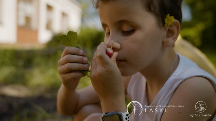 SHAMIR Polska i Partnerzy budują Ogród Zmysłów dla dzieci z Ośrodka Towarzystwa Opieki nad Ociemniałymi w Laskach