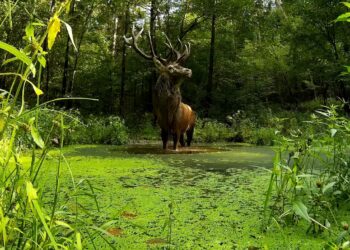 Wakacje na łonie natury. Jak obserwować świat przyrody z dziećmi, radzi przyrodnik Marcin Kostrzyński