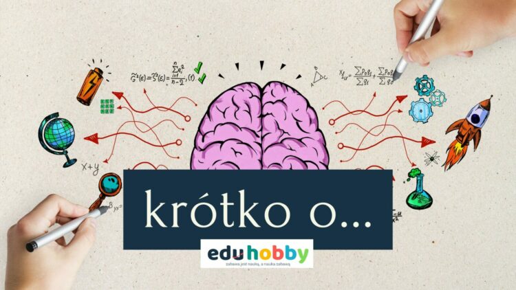 Nowy standard na edukacyjnej mapie polski. Do Polski weszła największa prywatna edukacyjna sieć na świecie: kanadyjskie szkoły Maple Bear